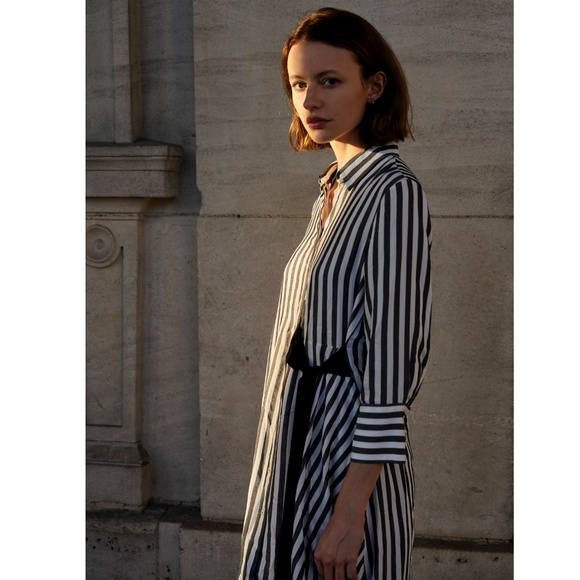 Zara Button Down Stripped Dress in Medium - Picture 3 of 4